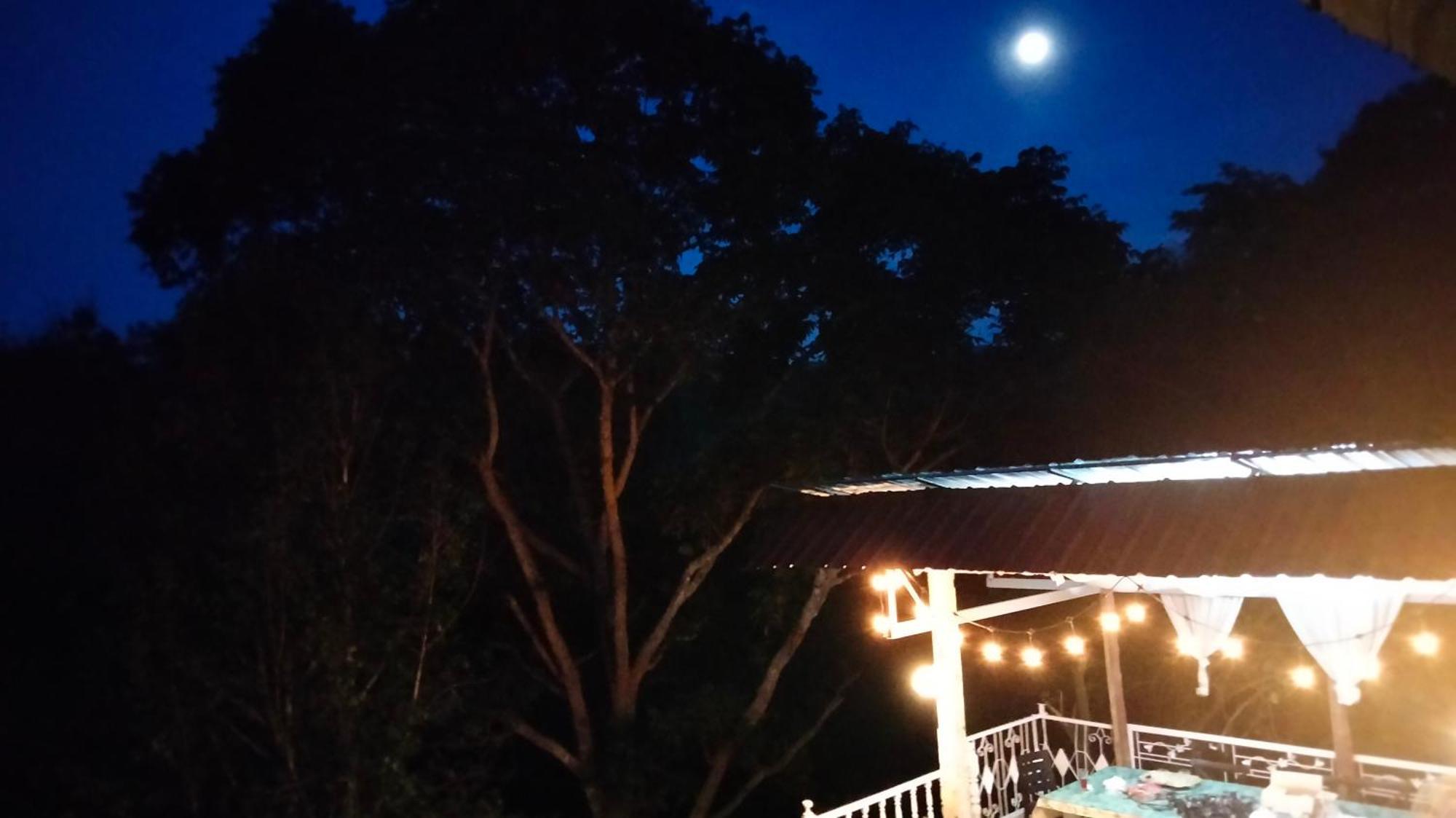 Balmy Hideout Cafe & Homestay Ban Huai Kaeo Dış mekan fotoğraf