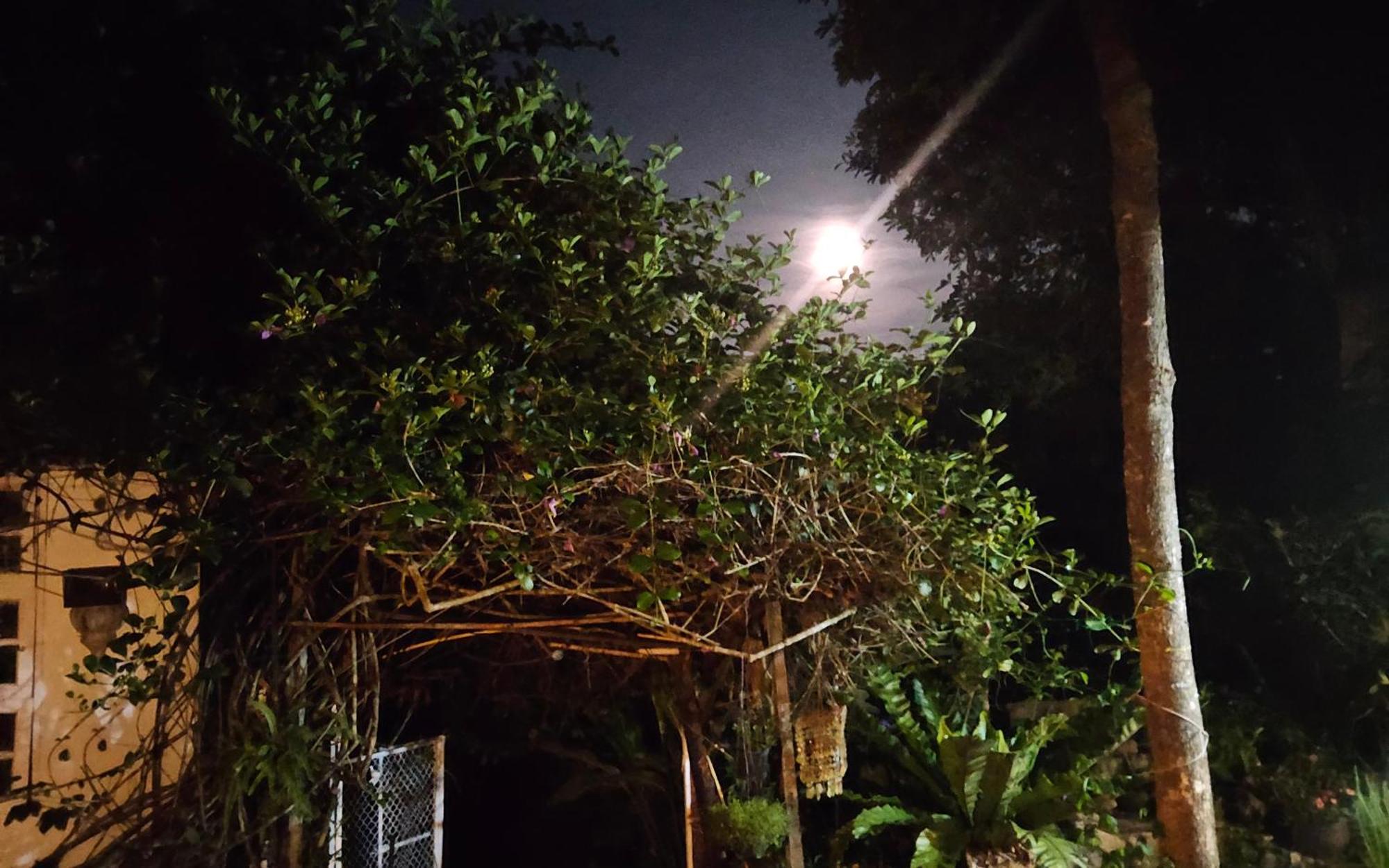 Balmy Hideout Cafe & Homestay Ban Huai Kaeo Dış mekan fotoğraf