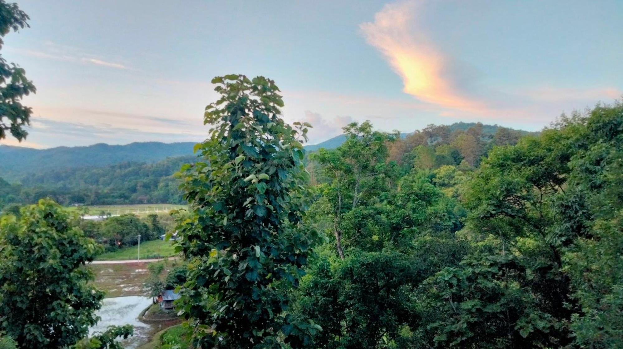 Balmy Hideout Cafe & Homestay Ban Huai Kaeo Dış mekan fotoğraf