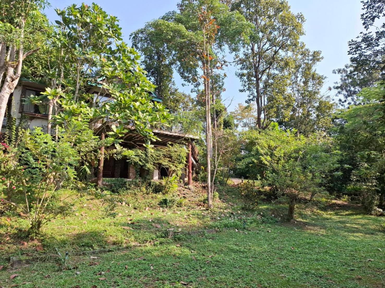 Balmy Hideout Cafe & Homestay Ban Huai Kaeo Dış mekan fotoğraf