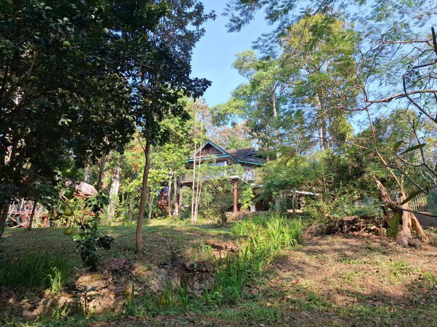 Balmy Hideout Cafe & Homestay Ban Huai Kaeo Dış mekan fotoğraf